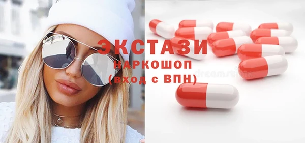 индика Протвино