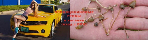 спиды Приозерск
