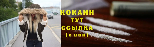 индика Протвино