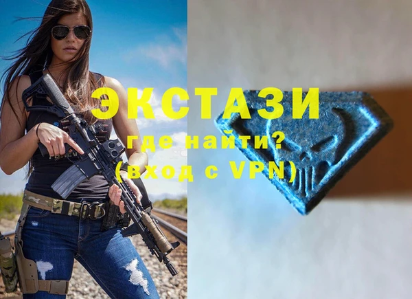 индика Протвино