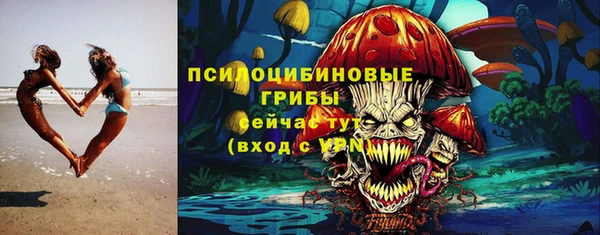 индика Протвино