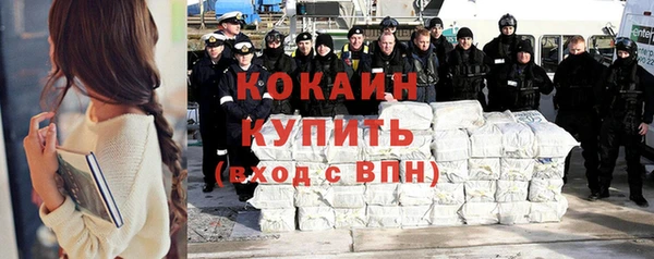 индика Протвино