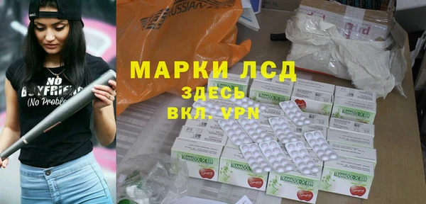 индика Протвино