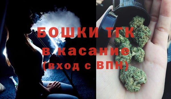 индика Протвино