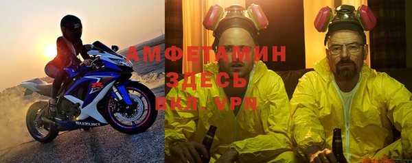 индика Протвино